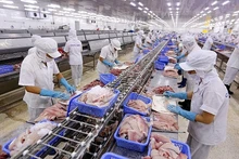 Chaque année, le Vietnam exporte environ 22 000 à 24 000 tonnes de fruits de mer vers les EAU. Photo : congthuong.vn