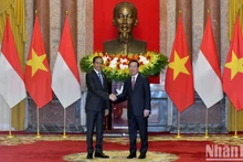 Le Président vietnamien, Vo Van Thuong, (à droite) et son homologue indonésien, Joko Widodo. Photo : NDEL.