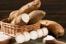 En 2 mois, le Vietnam a exporté vers la Chine 659.840 tonnes de manioc et prouits dérivés. Photo : VGP