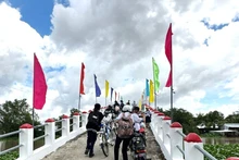 Un pont à Kiên Giang construit grâce à l'aide non remboursable du gouvernement japonais. Photo : thoidai.com.vn