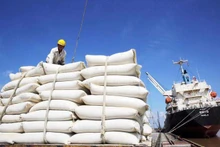 Conformément aux engagements de l'EVFTA, l'UE accorde annuellement au Vietnam un quota de 80 000 tonnes de riz. Photo : https://vneconomy.vn/