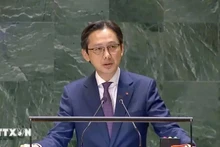 Le vice-ministre des Affaires étrangères, Do Hung Viet. Photo : VNA.
