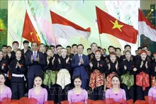 Le PVo Van Thuong et son homologue indonésien Joko Widodo ont assisté le 12 janvier à Hanoï, un programme d'arts martiaux et de musique. Photo : VNA