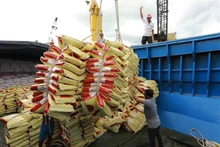 Le Vietnam a exporté un volume record de près de 6 millions de tonnes de riz au cours des huit premiers mois de 2023. Photo : VNA.