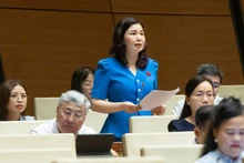 Tran Thi Van, députée de Bac Ninh. Photo : quochoi.vn