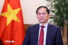 Le vice-Premier ministre et ministre des Affaires étrangèrs Bui Thanh Son. Photo : VNA.