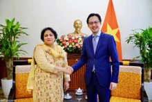 Le vice-ministre vietnamien des Affaires étrangères, Dô Hùng Viêt (à droite) et Samina Mehtab, ambassadrice de la République islamique du Pakistan au Vietnam. Photo : baoquocte.vn