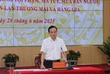 Le Vice-Premier ministre Tran Luu Quang lors de la conférence. Photo : VNA