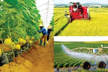 Le Vietnam vise un taux de croissance de la production végétale de 2,2 à 2,5 % par an d’ici 2030. Photo : CPV.