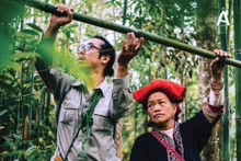 Daniel Nguyen Hoai Tien (à gauche) lors de son voyage à la recherche d'herbes dans la forêt du Nord-Ouest. Photo : thoidai.com.vn