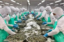 Fin mai, les États-Unis étaient toujours les plus grands débouchés des produits aquatiques vietnamiens avec un taux de croissance de 13 %. Photo : congthuong.vn