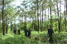 Le Vietnam et le Laos partagent une frontière de 2 340 km. Photo : VGP.