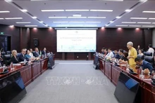 La séance de travail entre Da Nang et la délégation suédoise. Photo : VNA.