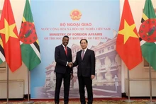 Le ministre vietnamien des Affaires étrangères du Vietnam, Bùi Thanh Son (à droite), et le ministre des Affaires étrangères, des Affaires internationales, du Commerce et de l'Énergie du Commonwealth de la Dominique, Vince Henderson. Photo : VNA.