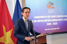 Le vice-ministre vietnamien des Affaires étrangères, Do Hung Viet, s'exprime lors de la cérémonie. Photo : VNA.