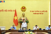 Le président de l’Assemblée nationale vietnamienne Tran Thanh Man (debout) prend la parole lors de la 45ᵉ session du Comité permanent de l’organe législatif. Photo : VOV.