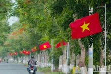 Un matin tôt au début de l'automne 2024 sur la « Route du drapeau de la Patrie » dans la commune de Chau Thoi, district de Vinh Loi, province de Bac Lieu. Photo : NDEL