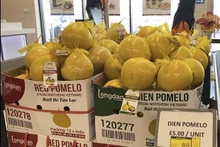 Le premier lot de 11 tonnes de pamplemousses de Diên importé par Longdan. Photo: VNA