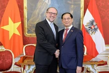 Le ministre vietnamien des Affaires étrangères, Bùi Thanh Son (à droite), et son homologue autrichien, Alexander Schallenberg. Photo : VNA.