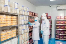 Depuis fin 2023, les premiers lots de produits vietnamiens à base de nids de salanganes ont été officiellement exportés vers le marché chinois conformément au protocole signé. Photo : congthuong.vn