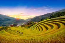 Les sublimes rizières en terrasse à Mu Cang Chai. Photo: Hanoimoi