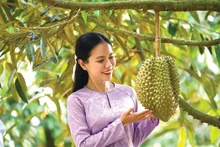 Les exportations de durians ont atteint 1,2 milliard de dollars