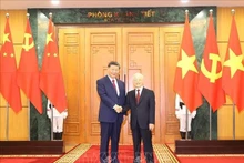 Le Secrétaire général du Parti communiste et Président chinois, Xi Jinping (à gauche) et le Secrétaire général du Parti communiste vietnamien, Nguyên Phu Trong (à droite). Photo : Tri Dung/TTXVN.