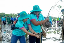 Photo : thoidai.com.vn