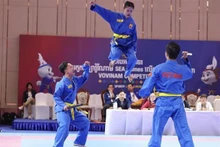 Des pratiquants de Vovinam. Photo : VNA