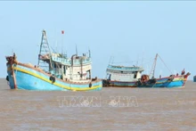 Bateaux de pêcheurs de la commune de Binh Thang, district de Binh Dai, province de Bên Tre. Photo : VNA.