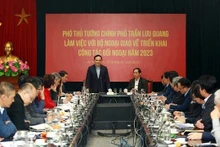 Le vice-Premier ministre Trân Luu Quang (debout). Photo : VGP.