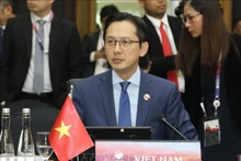Le vice-ministre des Affaires étrangères, Do Hung Viet. Photo: VNA