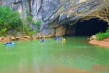 À l'entrée du parc national de Phong Nha-Ke Bang. Photo : nhandan.vn