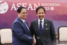 Le Premier ministre Pham Minh Chinh (à gauche) et le Sultan du Brunei, Haji Hassanal Bolkiah. Photo: Duong Giang/TTXVN.