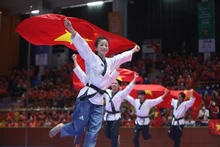 La photo "Bay lên Việt Nam" (Envolez-vous Vietnam) de Bùi Cuong Quyêt. Photo : VNA. 