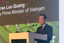 Le vice-Premier ministre Trân Luu Quang. Photo: Nguyên Nhung/VOV