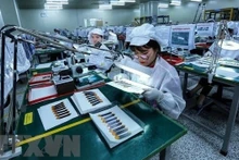 Une entreprise dans le Parc industriel de Yên Phong, province de Bac Ninh (au Nord-Est). Photo : VNA.