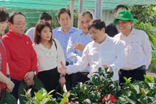 Photo : thoidai.com.vn