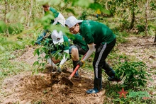 Le Vietnam compte 85.600 hectares de forêt plantées en 5 mois