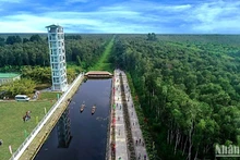 Développer l’écotourisme durable au sein du parc national d’U Minh Ha