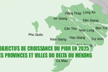 Objectif de croissance du PIBR en 2025 des provinces et villes de la région du delta du Mékong