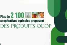 Plus de 2 100 coopératives agricoles proposant des produits OCOP