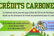 Crédits carbone - nouveau secteur économique pour le Vietnam