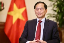 Le vice-Premier ministre vietnamien et ministre des Affaires étrangères du Vietnam, Bui Thanh Son. Photo : NDEL.