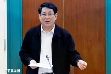 Le président Luong Cuong s’exprime lors de la séance de travail avec le Bureau présidentiel, le 11 février. Photo : VNA.