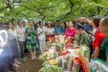 La vente en ligne se développe fortement à Thai Nguyen. Photo : NDEL