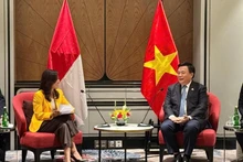Nguyên Xuân Thang, membre du Politburo, président de l'Académie nationale de politique Hô Chi Minh et président du Conseil théorique central et Meutya Viada Hafid, vice-présidente du Parti Golkar et ministre de la Communication et des Affaires numériques de l'Indonésie. Photo : hcm.vn
