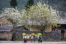 La beauté des gens et les magnifiques paysages sont des attractions pour les touristes à Ha Giang. Photo : VNA.