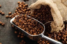 La forte augmentation des prix a permis aux exportations de café d'atteindre un résultat impressionnant, le plus élevé jamais enregistré. Photo: baodautu