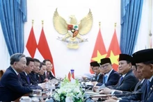 Lors de l'entretien entre Tô Lâm et Prabowo Subianto. Photo : VNA.